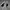 Converse Streetwear Skater Sneakers Pria white black photo 3
