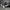 Converse Streetwear Skater Sneakers Pria white black photo 1