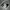 Converse Streetwear Skater Sneakers Pria white black photo 2