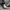 Converse Streetwear Skater Sneakers Pria white black photo 3