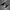 Converse Streetwear Skater Sneakers Pria black photo 2