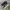 Salomon Streetwear Sneakers Pria multicolor photo 1