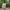 Minimalist Casual Suit Pria white photo 4