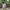 Minimalist Casual Suit Pria white photo 3
