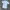 Minimalist Casual Suit Pria white photo 2