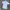 Minimalist Casual Suit Pria White
