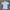 Minimalist Casual Suit Pria White