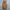 Carhartt Streetwear Biker Vest Pria brown photo 1