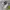New Balance Streetwear Loafer Wanita gray photo 1