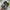 Salomon Streetwear Sneakers Pria multicolor photo 5