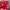 Louis Vuitton Casual Wallet Wanita red photo 2