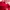 Louis Vuitton Casual Wallet Wanita red photo 7