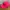 Nike Vintage Y2K Hat Pria pink photo 3