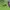 Puma Streetwear Sportswear Bomber Jacket Pria Purple Green