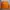 Covernat Streetwear Minimalist Sweater Pria orange photo 1