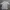 Streetwear Casual Casual shirt Pria white photo 1