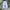 Streetwear Sportswear Sweatpants & Joggers Pria multicolor photo 2