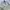 Streetwear Sportswear Sweatpants & Joggers Pria multicolor photo 5