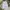 Streetwear Sportswear Sweatpants & Joggers Pria multicolor photo 1