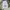 Streetwear Sportswear Sweatpants & Joggers Pria multicolor photo 4