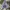Streetwear Sportswear Tracksuit Pria multicolor photo 3