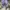 Streetwear Sportswear Tracksuit Pria multicolor photo 4