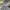 Streetwear Y2K Jeans Pria multicolor photo 4