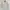 Polo Ralph Lauren Streetwear Casual Harrington jacket Pria khaki cream photo 1