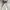 Polo Ralph Lauren Streetwear Casual Harrington jacket Pria khaki cream photo 3