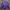 Casual Puffer jacket Pria purple blue photo 5