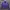 Casual Puffer Jacket Pria Purple Blue