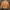 Casual Puffer jacket Pria orange photo 6