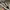 VANS Streetwear Skater Sneakers Pria black gray photo 1