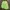 Sportswear Casual Track jacket Pria yellow photo 2