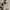 Y2K Casual Harrington jacket Pria cream photo 4