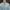 ZARA Streetwear Casual Harrington jacket Pria white photo 2