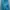 Reebok Sportswear Windbreaker Wanita blue photo 1