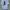 Nike Streetwear Casual T-shirt Pria white photo 3