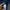 GAP Minimalist Casual Sweater Pria navy photo 4