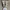 Luxury Minimalist Wanita white green photo 1