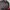 Reebok Sportswear Track Jacket Pria Red Black