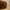 Fossil Luxury Tote bag Wanita brown photo 6