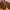 Fossil Luxury Tote bag Wanita brown photo 5