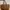 Fossil Luxury Tote bag Wanita brown photo 3