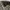 Barbour Streetwear Sportswear Hat Pria black photo 6