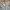Nike Streetwear Y2K Tracksuit Pria gray photo 3