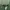 Minimalist Casual Sweater Pria green photo 3