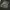 Vintage Y2K Short Pria white green photo 6