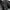 Chevignon Vintage Sportswear Harrington jacket Pria white black photo 4