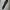 H&M Skater Casual Sweatpants & Joggers Pria gray photo 6